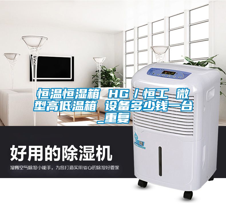 恒温恒湿箱 HG／恒工 微型高低温箱 设备多少钱一台_重复