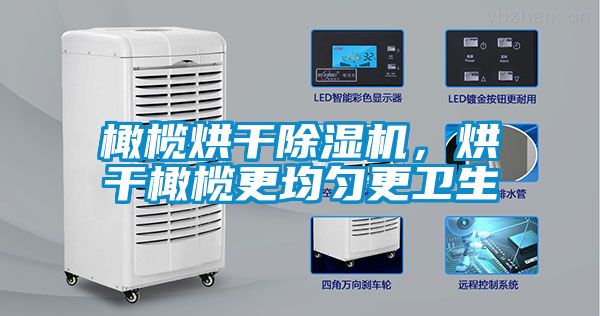 橄榄烘干除湿机，烘干橄榄更均匀更卫生