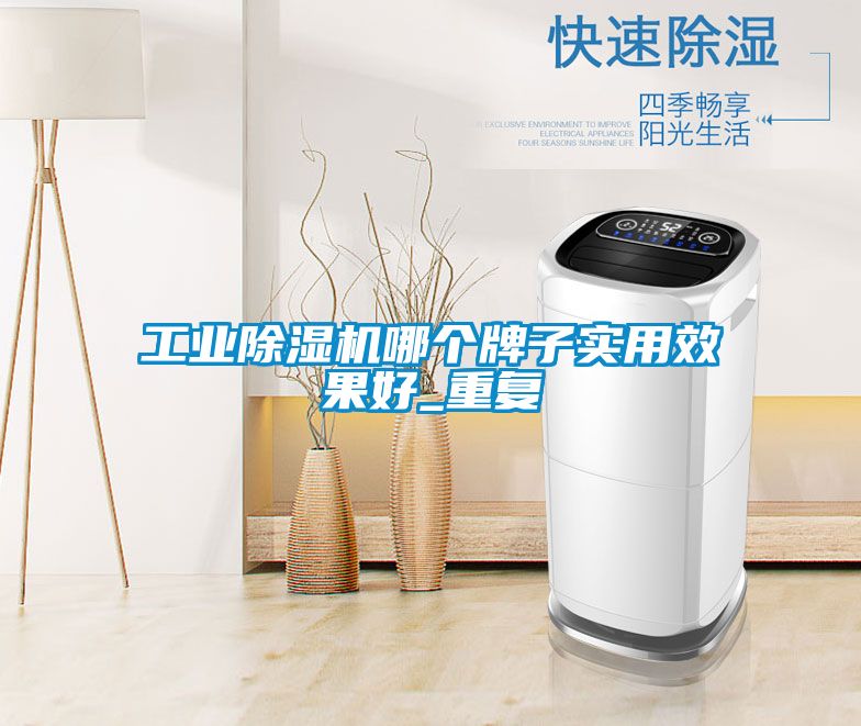 工业除湿机哪个牌子实用效果好_重复