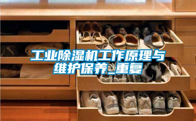 工业除湿机工作原理与维护保养_重复