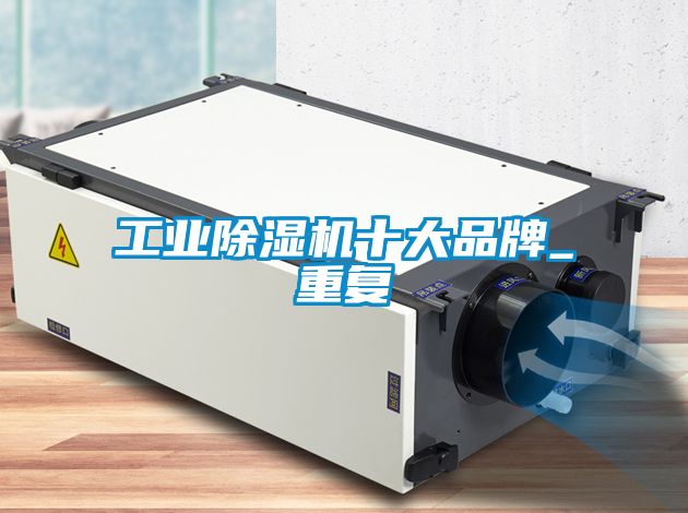 工业除湿机十大品牌_重复