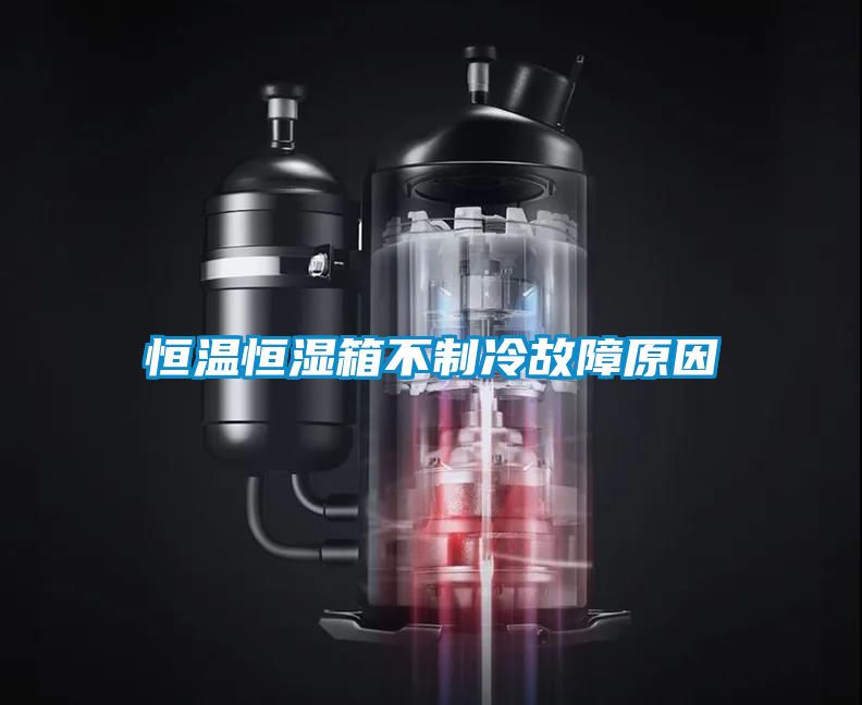 恒温恒湿箱不制冷故障原因