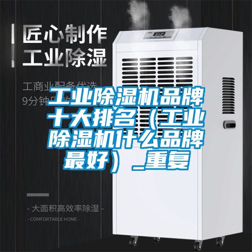 工业除湿机品牌十大排名（工业除湿机什么品牌最好）_重复