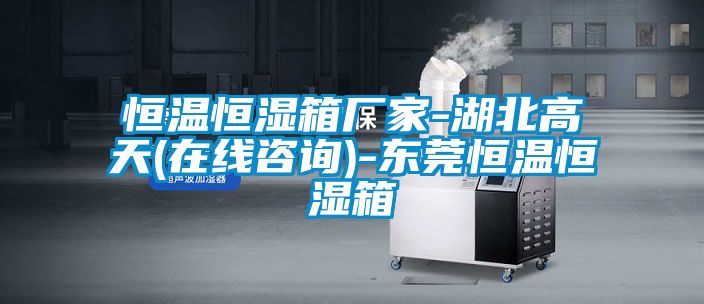 恒温恒湿箱厂家-湖北高天(在线咨询)-东莞恒温恒湿箱