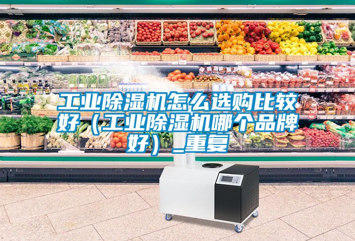 工业除湿机怎么选购比较好（工业除湿机哪个品牌好）_重复
