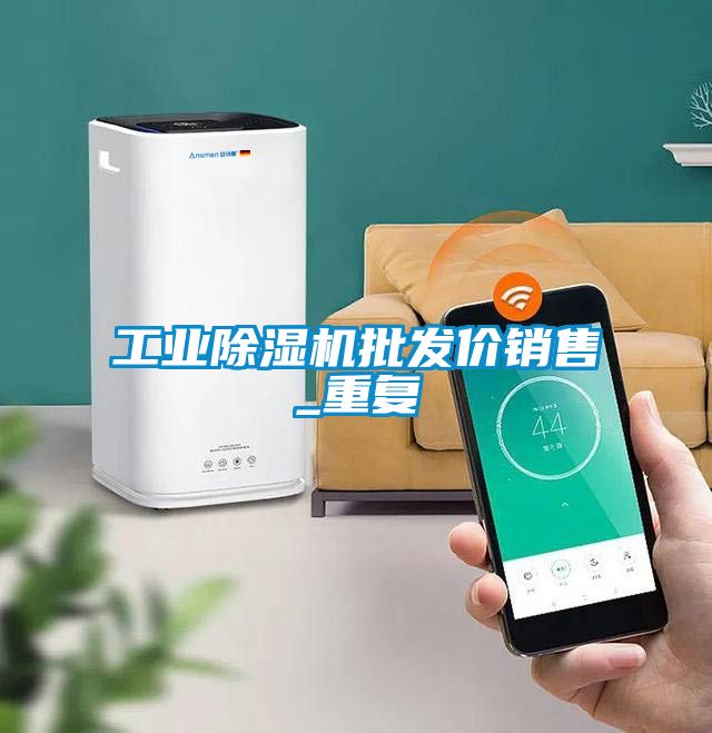工业除湿机批发价销售_重复