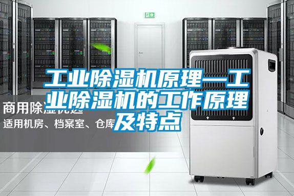 工业除湿机原理—工业除湿机的工作原理及特点