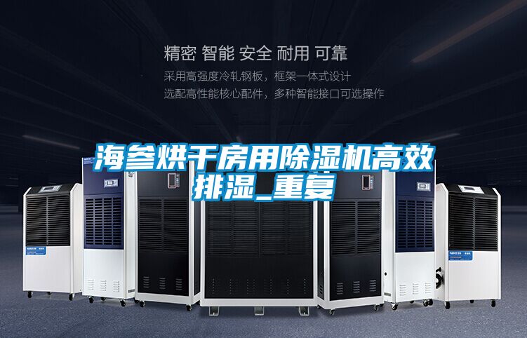 海参烘干房用除湿机高效排湿_重复