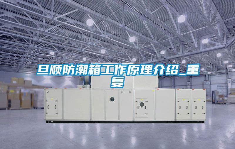 旦顺防潮箱工作原理介绍_重复