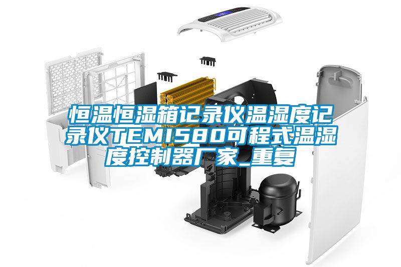 恒温恒湿箱记录仪温湿度记录仪TEMI580可程式温湿度控制器厂家_重复