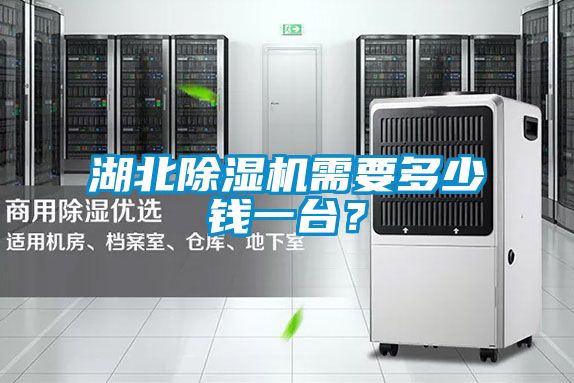 湖北除湿机需要多少钱一台？