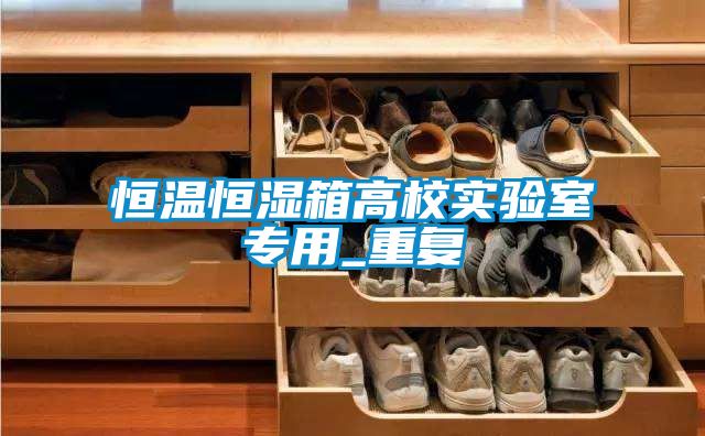 恒温恒湿箱高校实验室专用_重复