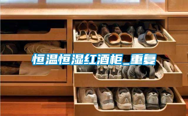 恒温恒湿红酒柜_重复