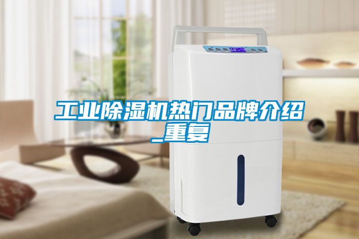 工业除湿机热门品牌介绍_重复
