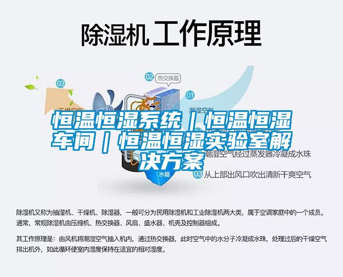 恒温恒湿系统｜恒温恒湿车间｜恒温恒湿实验室解决方案