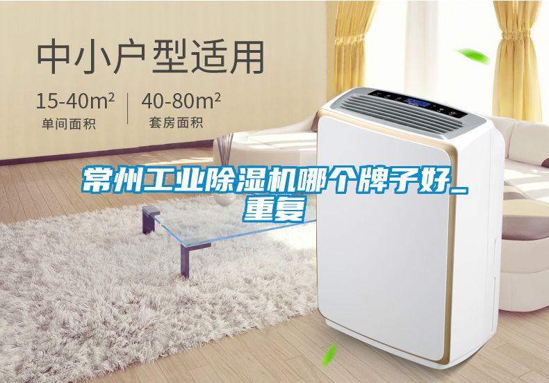 常州工业除湿机哪个牌子好_重复