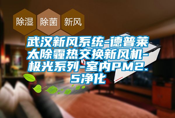 武汉新风系统-德普莱太除霾热交换新风机-极光系列-室内PM2.5净化