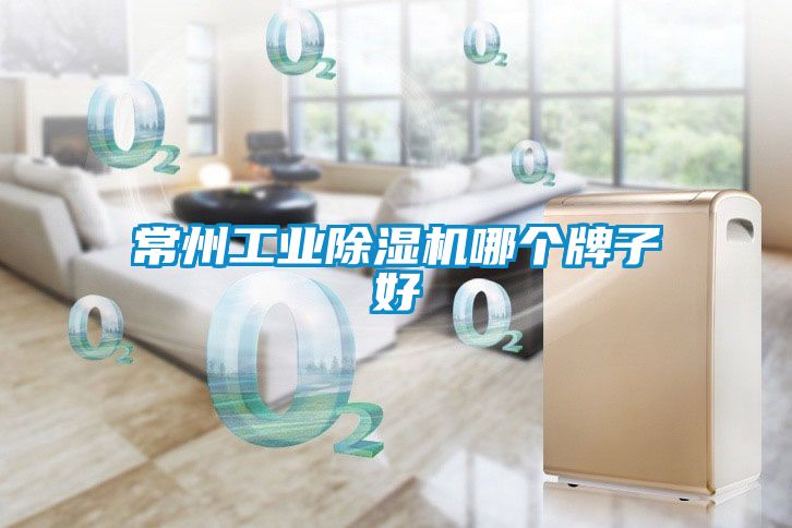 常州工业除湿机哪个牌子好