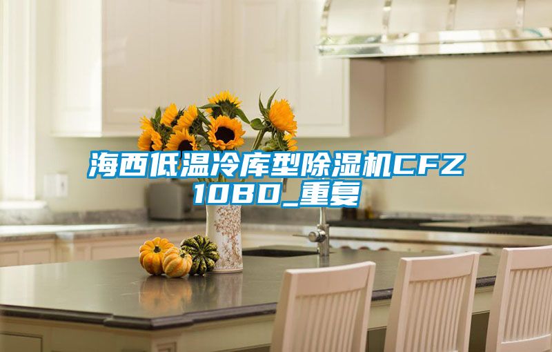 海西低温冷库型除湿机CFZ10BD_重复