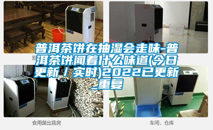 普洱茶饼在抽湿会走味-普洱茶饼闻着什么味道(今日更新／实时)2022已更新_重复