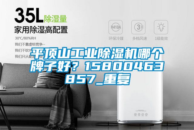 平顶山工业除湿机哪个牌子好？15800463857_重复