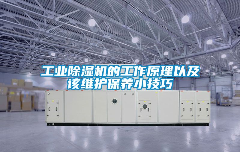 工业除湿机的工作原理以及该维护保养小技巧