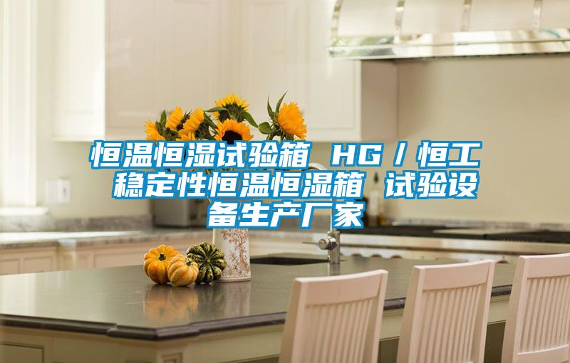 恒温恒湿试验箱 HG／恒工 稳定性恒温恒湿箱 试验设备生产厂家
