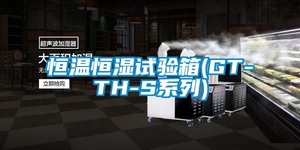 恒温恒湿试验箱(GT-TH-S系列)