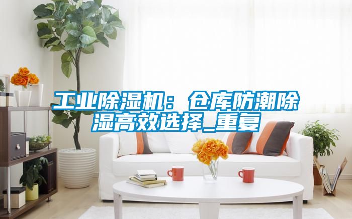 工业除湿机：仓库防潮除湿高效选择_重复