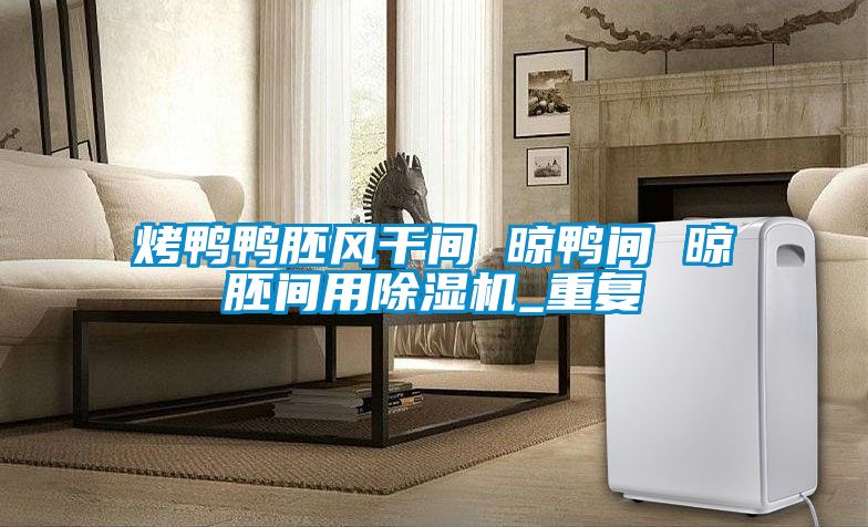 烤鸭鸭胚风干间 晾鸭间 晾胚间用除湿机_重复