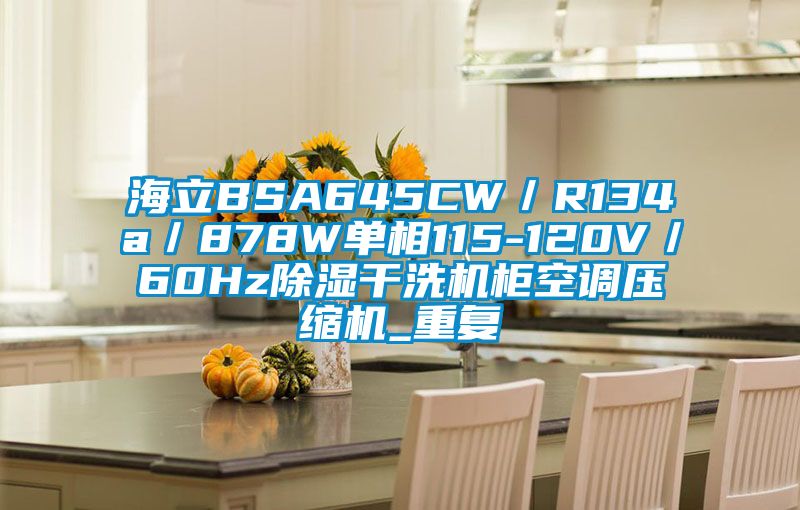 海立BSA645CW／R134a／878W单相115-120V／60Hz除湿干洗机柜空调压缩机_重复