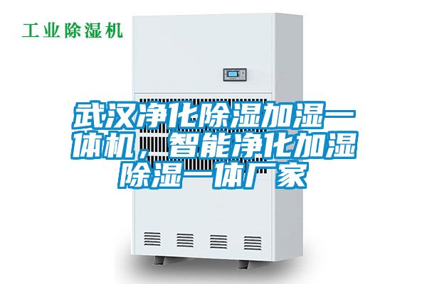 武汉净化除湿加湿一体机，智能净化加湿除湿一体厂家
