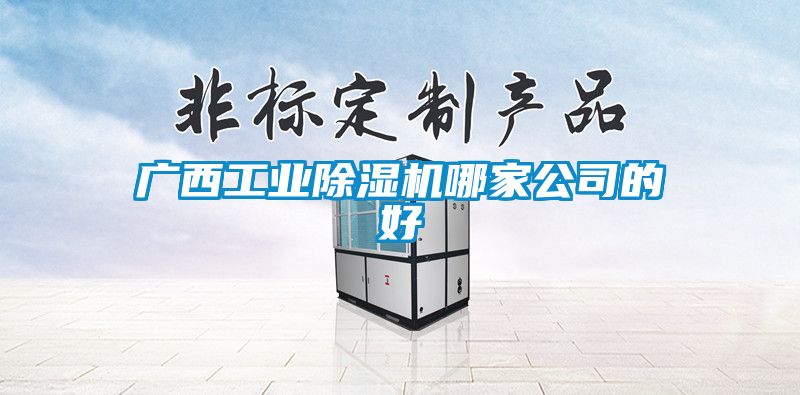 广西工业除湿机哪家公司的好