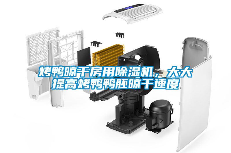 烤鸭晾干房用除湿机，大大提高烤鸭鸭胚晾干速度