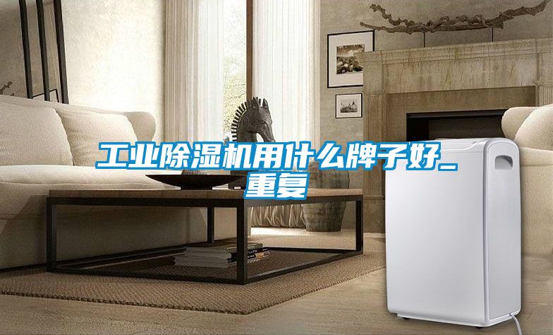 工业除湿机用什么牌子好_重复