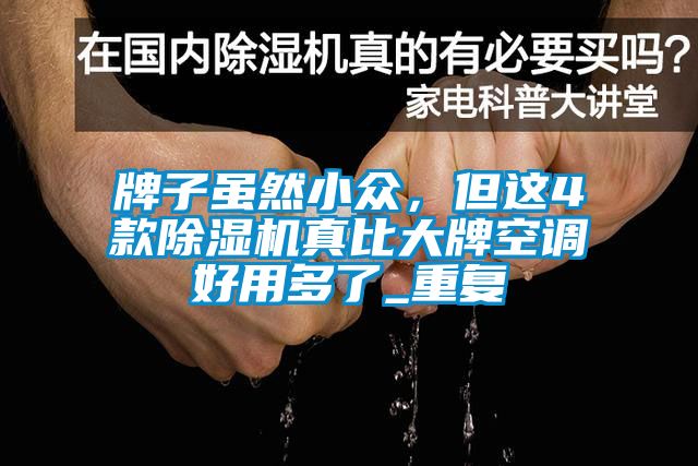 牌子虽然小众，但这4款除湿机真比大牌空调好用多了_重复