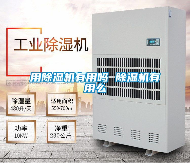 用除湿机有用吗 除湿机有用么
