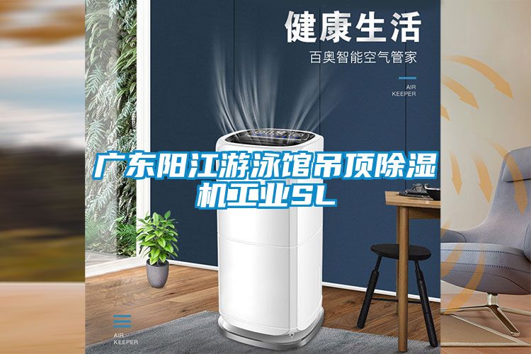 广东阳江游泳馆吊顶除湿机工业SL