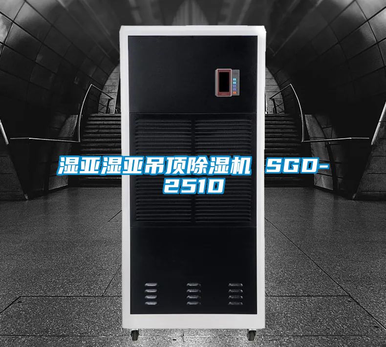 湿亚湿亚吊顶除湿机 SGD-251D