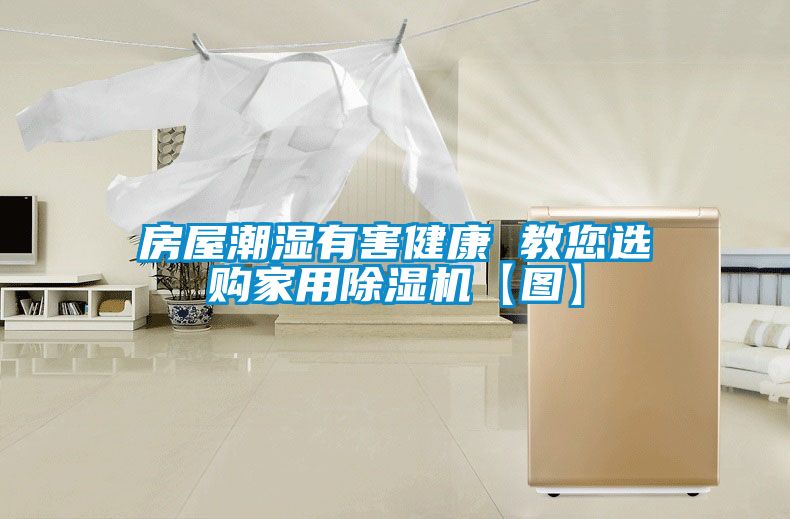 房屋潮湿有害健康 教您选购家用除湿机【图】