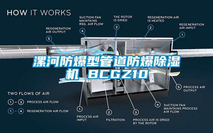 漯河防爆型管道防爆除湿机 BCGZ10