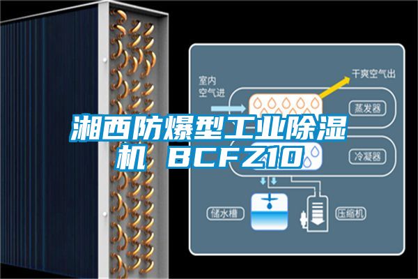 湘西防爆型工业除湿机 BCFZ10