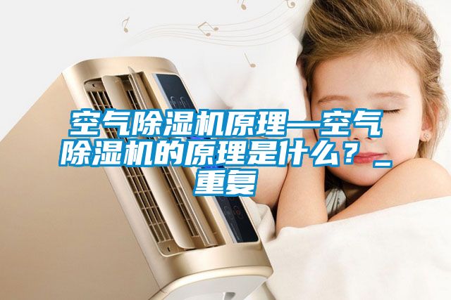 空气除湿机原理—空气除湿机的原理是什么？_重复