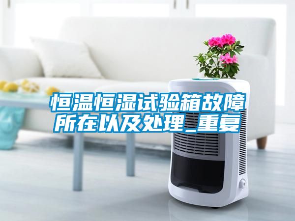恒温恒湿试验箱故障所在以及处理_重复