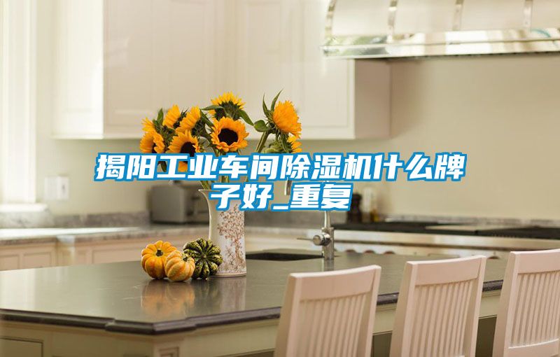 揭阳工业车间除湿机什么牌子好_重复