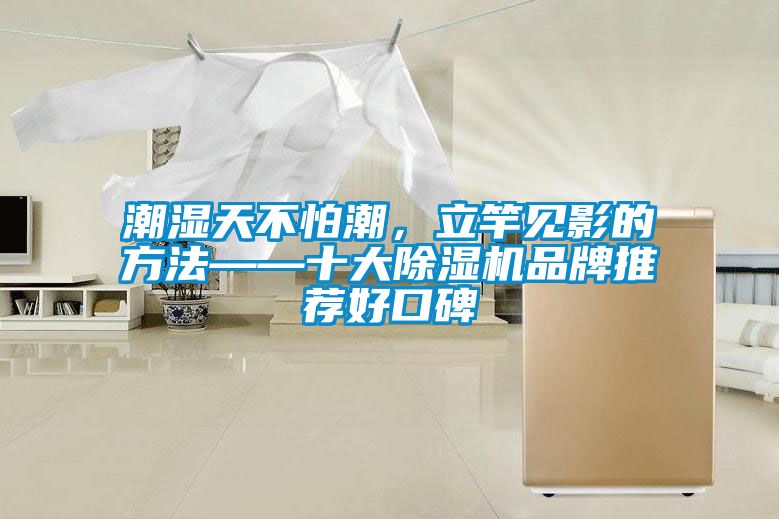 潮湿天不怕潮，立竿见影的方法——十大除湿机品牌推荐好口碑