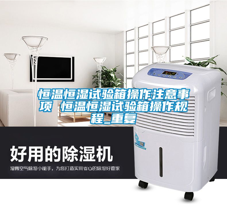 恒温恒湿试验箱操作注意事项 恒温恒湿试验箱操作规程_重复