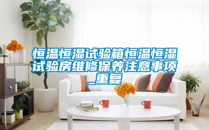 恒温恒湿试验箱恒温恒湿试验房维修保养注意事项_重复