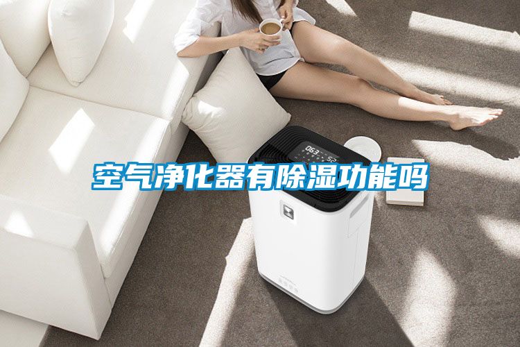 空气净化器有除湿功能吗