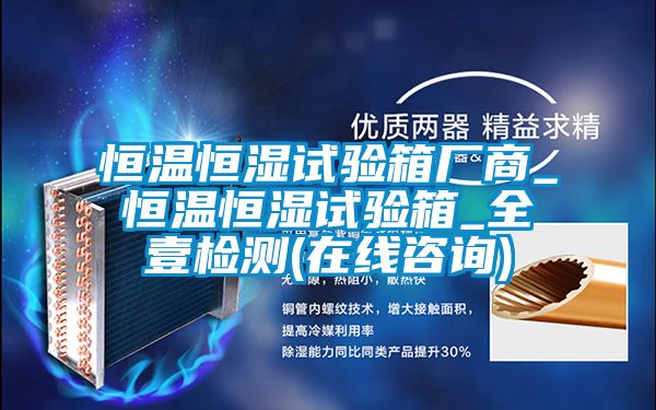 恒温恒湿试验箱厂商_恒温恒湿试验箱_全壹检测(在线咨询)